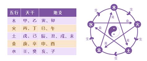 星座 八字|八字查询